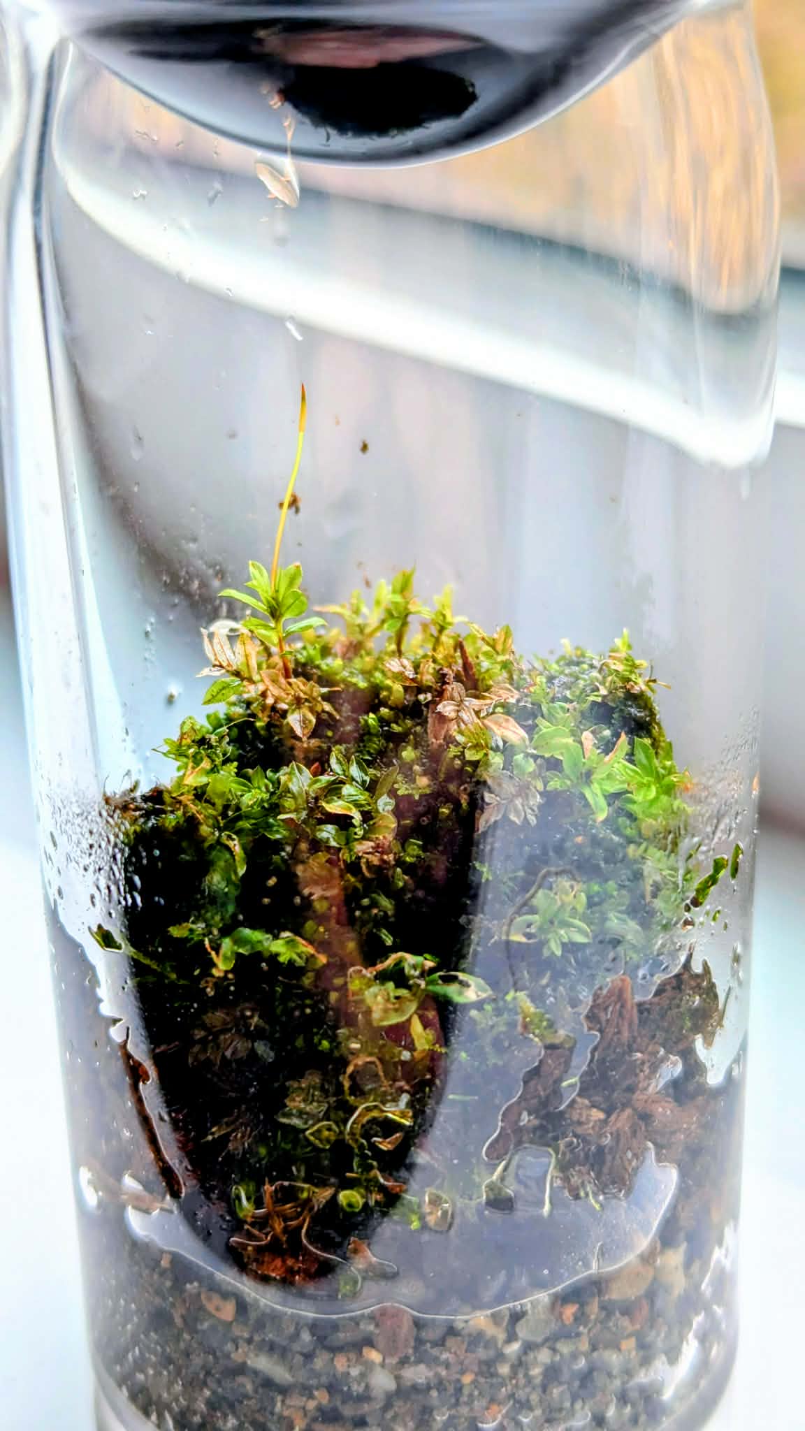 Creekside in a Bottle