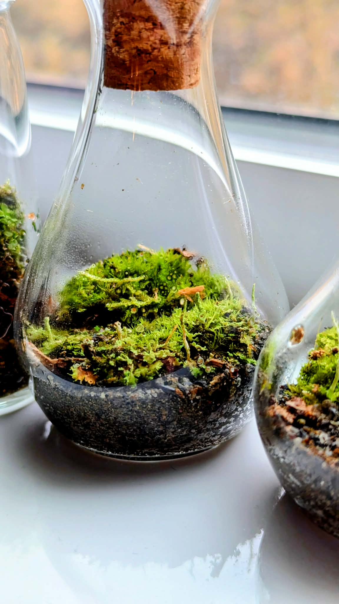 Creekside in a Bottle