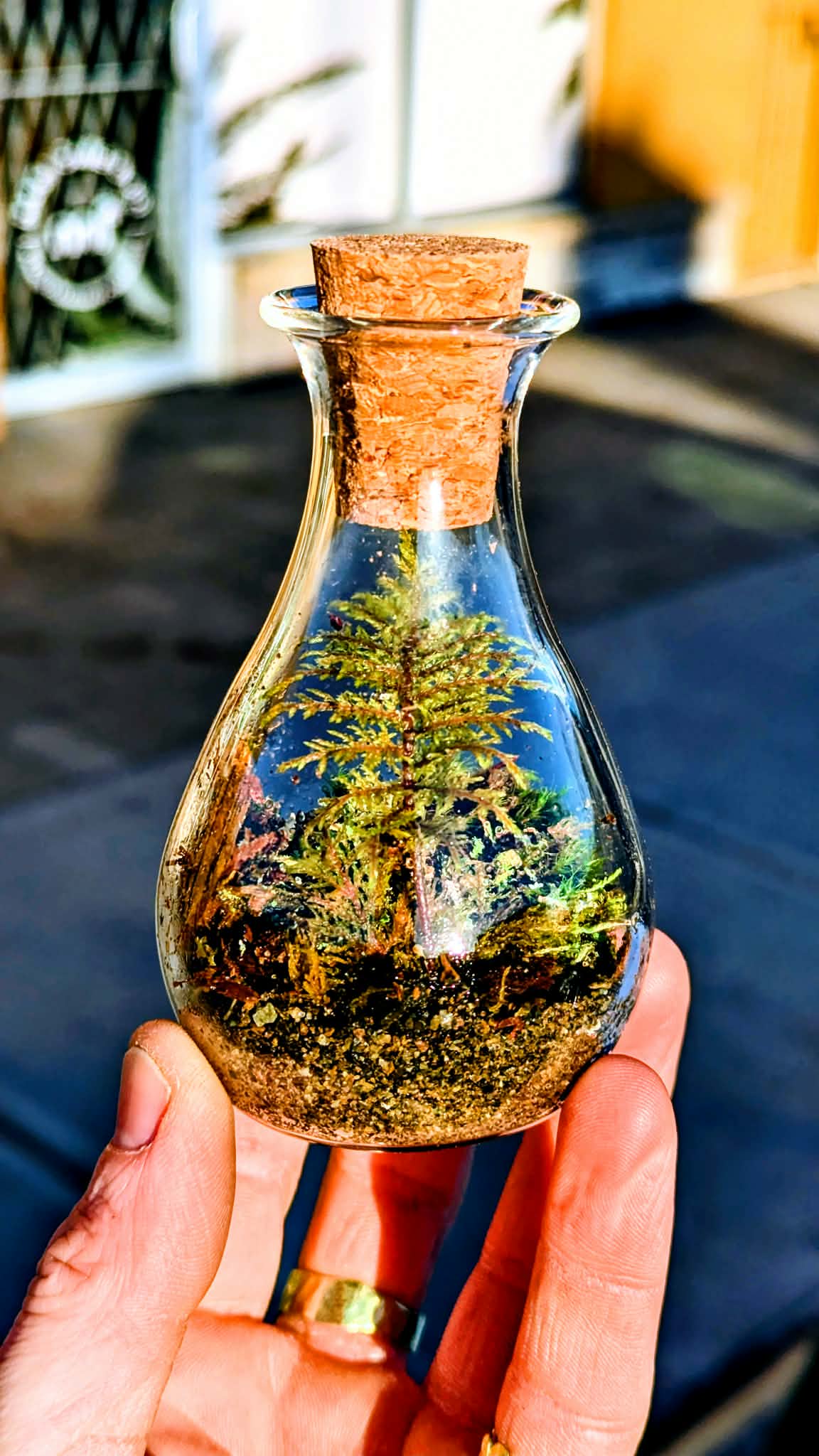Creekside in a Bottle